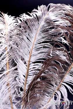 Strauss mit feinem goldenen Strahl – 38-42 cm – creme grau natur